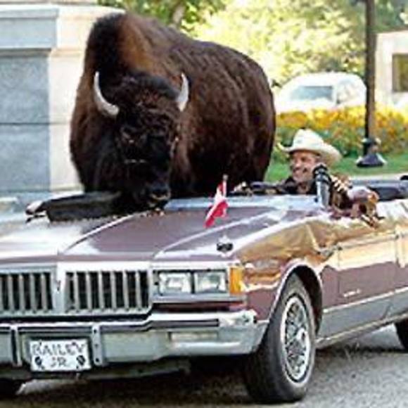 Meet your Posher, Joel - Picture 1 of 1